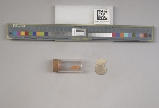 NSF ADBC EPICC TCN