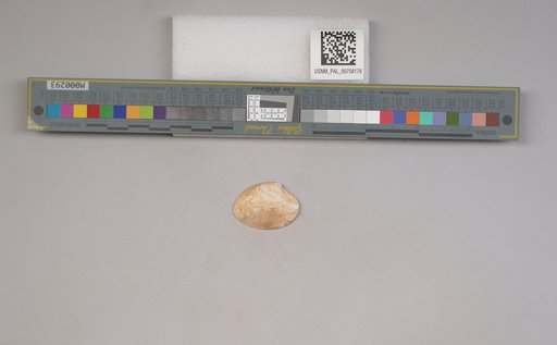 NSF ADBC EPICC TCN