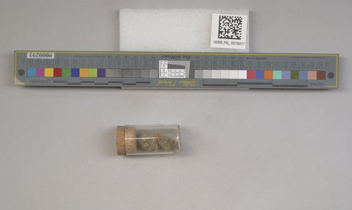 NSF ADBC EPICC TCN