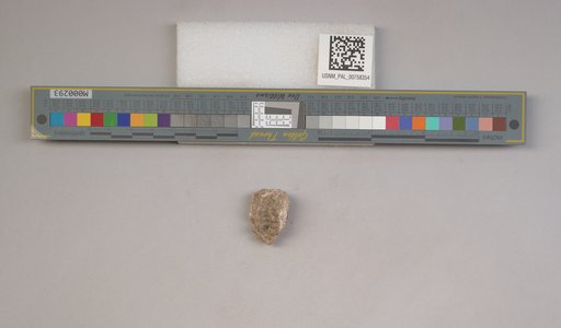NSF ADBC EPICC TCN