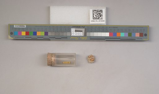 NSF ADBC EPICC TCN