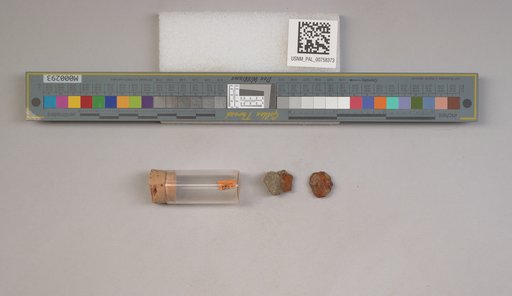 NSF ADBC EPICC TCN