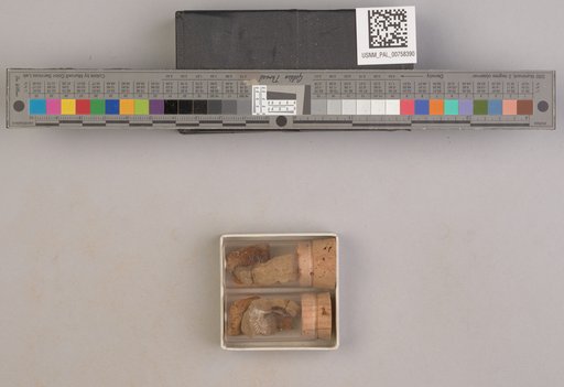 NSF ADBC EPICC TCN