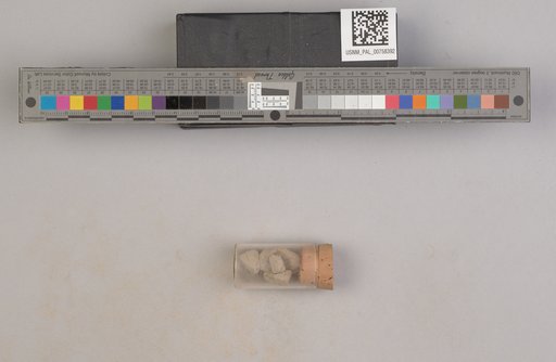 NSF ADBC EPICC TCN
