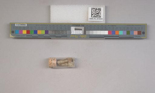 NSF ADBC EPICC TCN