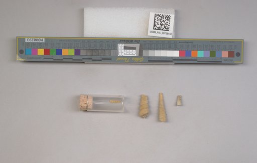 NSF ADBC EPICC TCN