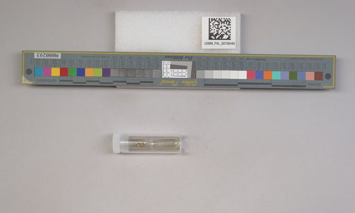NSF ADBC EPICC TCN