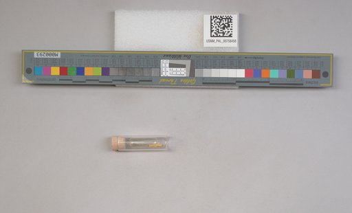 NSF ADBC EPICC TCN