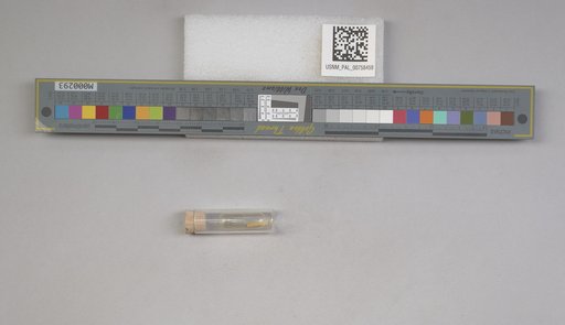 NSF ADBC EPICC TCN