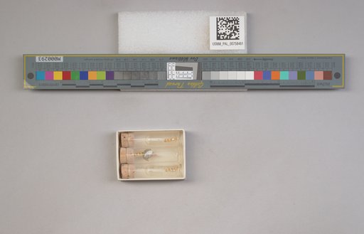 NSF ADBC EPICC TCN