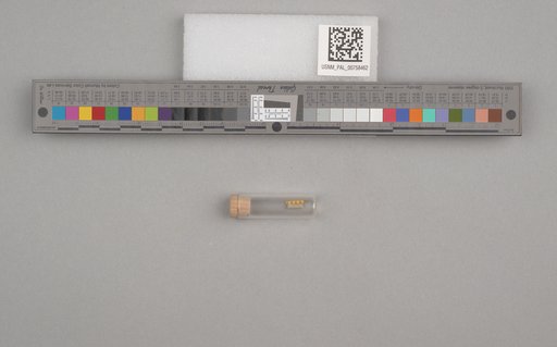 NSF ADBC EPICC TCN