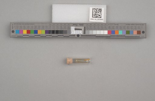 NSF ADBC EPICC TCN