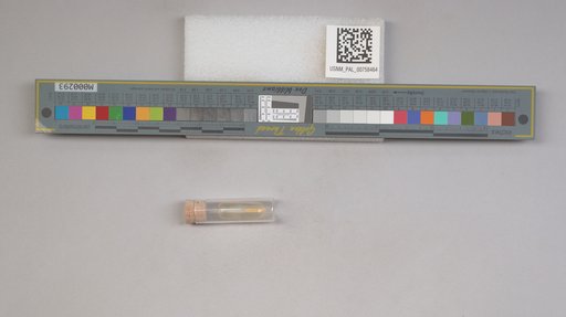 NSF ADBC EPICC TCN