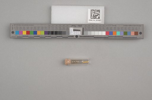 NSF ADBC EPICC TCN