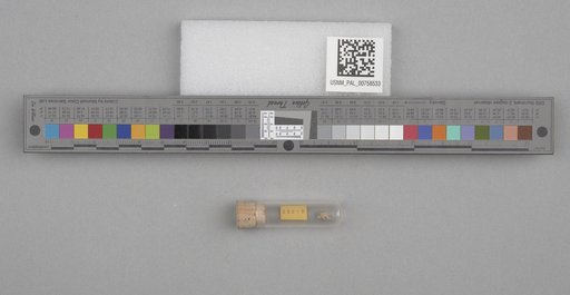 NSF ADBC EPICC TCN