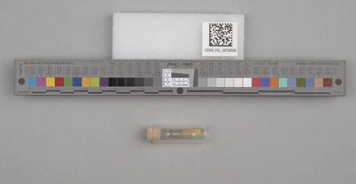 NSF ADBC EPICC TCN