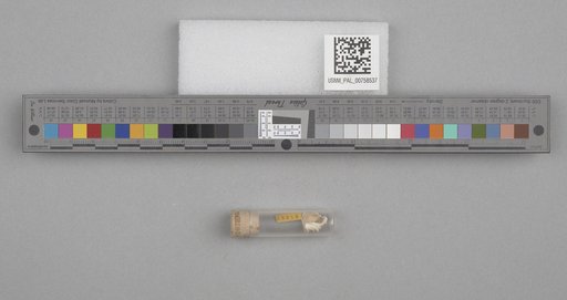 NSF ADBC EPICC TCN