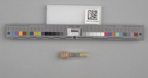 NSF ADBC EPICC TCN