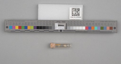 NSF ADBC EPICC TCN