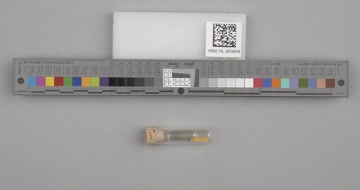 NSF ADBC EPICC TCN