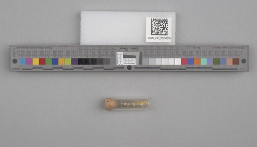 NSF ADBC EPICC TCN