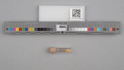 NSF ADBC EPICC TCN