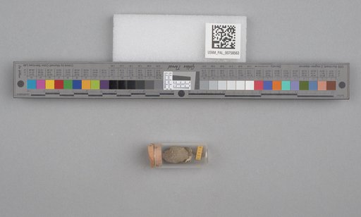 NSF ADBC EPICC TCN