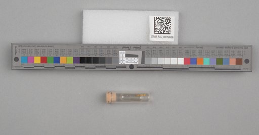 NSF ADBC EPICC TCN