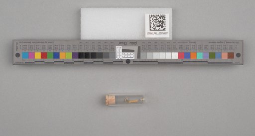 NSF ADBC EPICC TCN