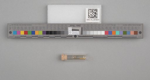 NSF ADBC EPICC TCN