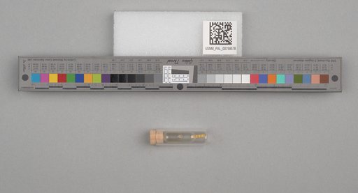 NSF ADBC EPICC TCN
