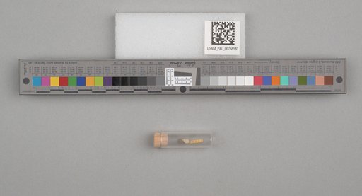 NSF ADBC EPICC TCN