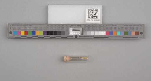 NSF ADBC EPICC TCN