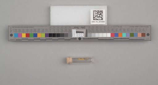 NSF ADBC EPICC TCN