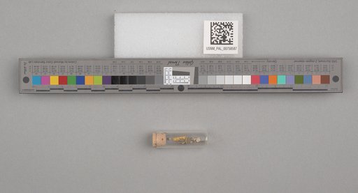NSF ADBC EPICC TCN