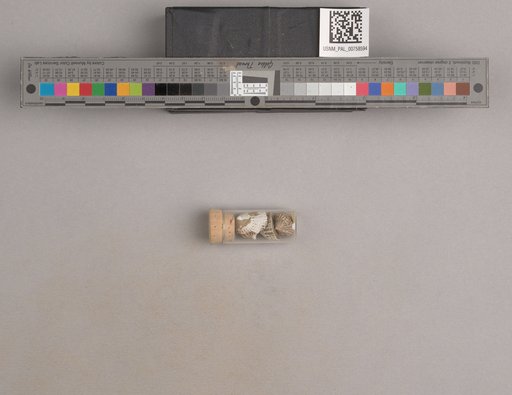 NSF ADBC EPICC TCN