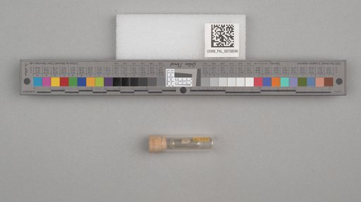 NSF ADBC EPICC TCN