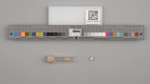 NSF ADBC EPICC TCN
