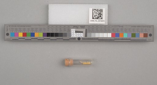 NSF ADBC EPICC TCN