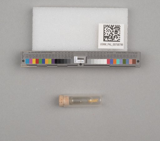 NSF ADBC EPICC TCN