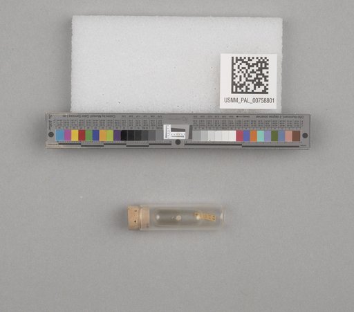 NSF ADBC EPICC TCN
