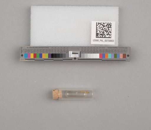 NSF ADBC EPICC TCN