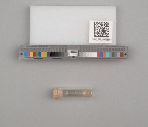 NSF ADBC EPICC TCN