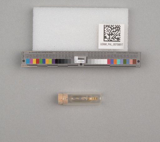 NSF ADBC EPICC TCN