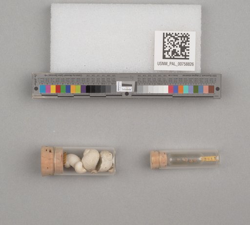 NSF ADBC EPICC TCN