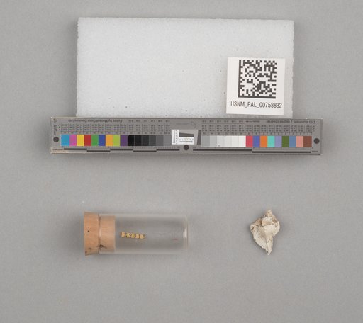NSF ADBC EPICC TCN