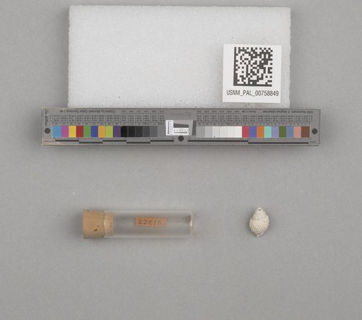 NSF ADBC EPICC TCN