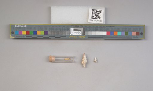 NSF ADBC EPICC TCN