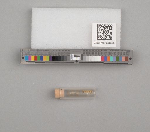 NSF ADBC EPICC TCN