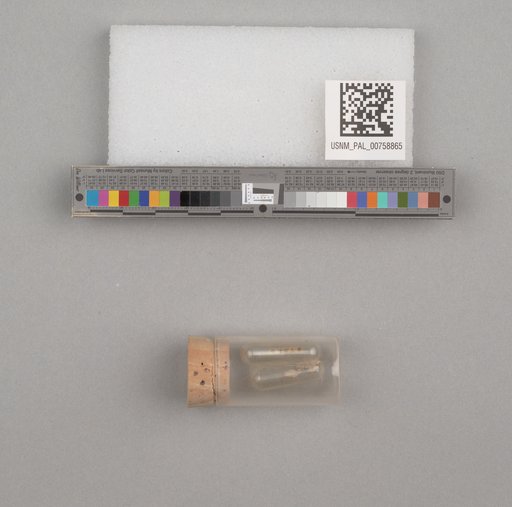 NSF ADBC EPICC TCN